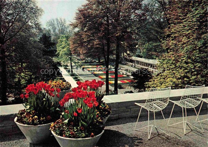 IGA Gartenbauaustellung International Zuerich Schweiz Blumenteppich Rosenrestaur