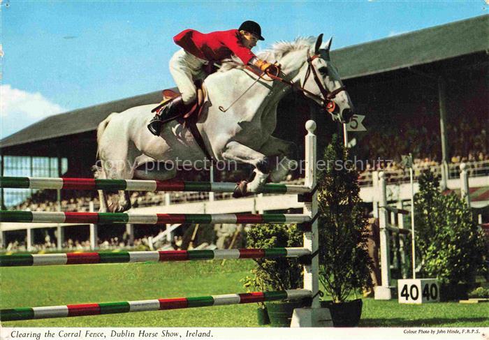 Rennsport Pferde Horses Cheval Dublin Horse Show Ireland