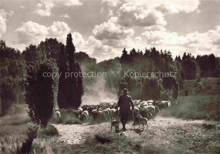 Schaeferei Sheperding Bergerie-- Schnuckenherde