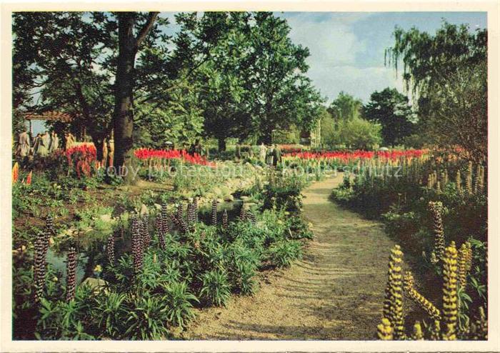 IGA Gartenbauaustellung International Hamburg Lupinen am Bach