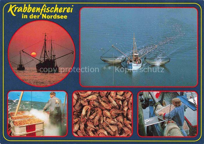 Krabbenfischerei Fischerei Fishing Peche-- in der Nordsee