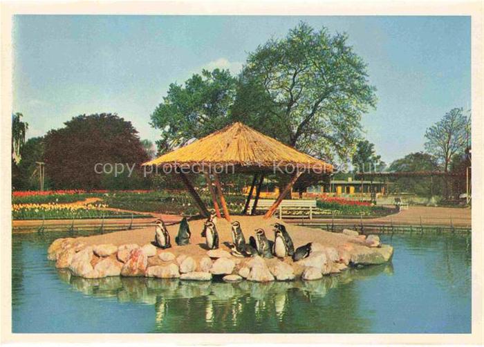 IGA Gartenbauaustellung International Hamburg am Pinguinen Teich