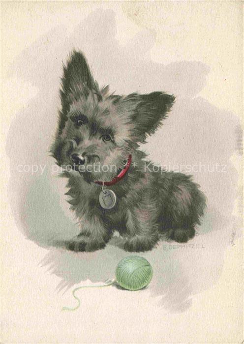 DERMITZEL E. Kuenstlerkarte Hunde Dogs Chiens