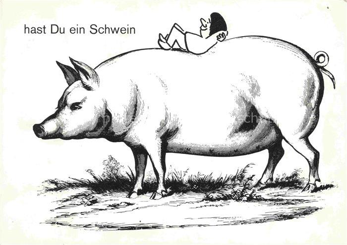 Schweine Pigs Cochons Cerdos Maiali--