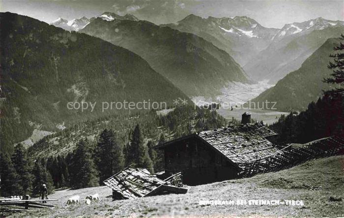 Steinach Brenner Tirol AT Domersalm Almhuette Bergpanorama Hochtal Nadelwald Wei