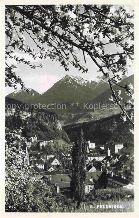 Feldkirch Vorarlberg AT Stadtansicht Kirchturm Bergpanorama Obstbluete Wald Berg