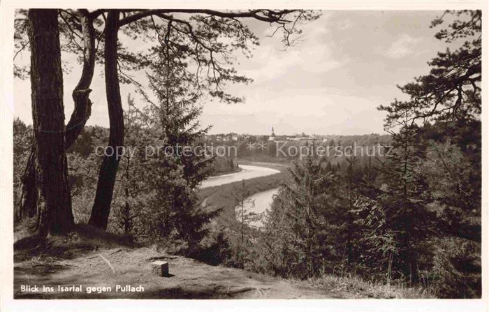 Pullach  Isartal MueNCHEN Bayern Isartal Isar Fluss Wald Kiefern Pullach Kirchtu