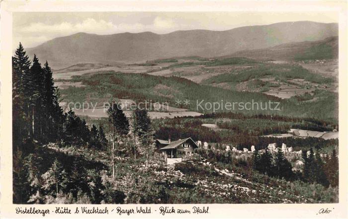 Distelberger-Huette Viechtach Bayerischer Wald Bayern Berghuette Pension Nadelwa