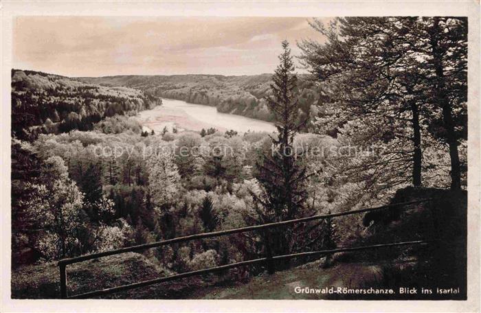 Gruenwald Muenchen Roemerschanze Isartal Isar Fluss Wald Aussichtspunkt Nadelwal