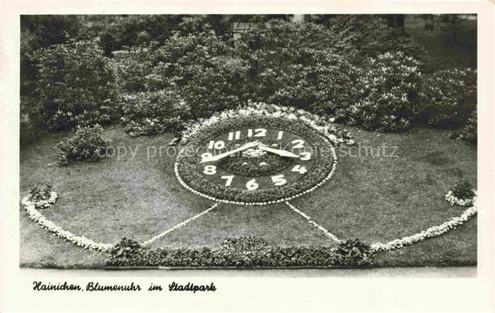 Hainichen Sachsen Blumenuhr Stadtpark Park Blumen Rasenflaeche