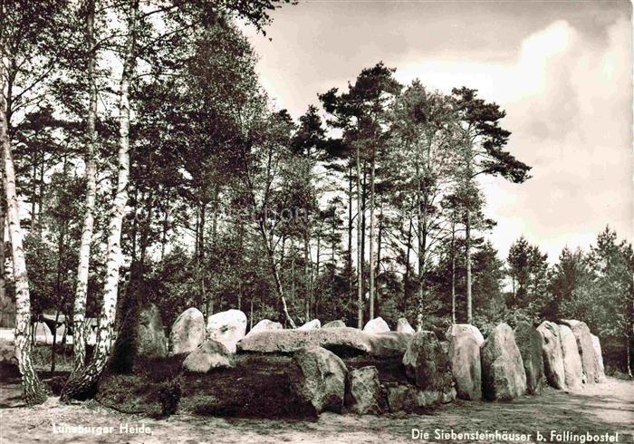 Fallingbostel Bad Soltau-Fallingbostel Niedersachsen Siebensteinhaeuser Megalith