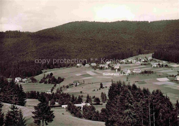 Schoenegruend Baiersbronn BW Gasthof-zum-Loewen Tal Wald Fichten Wiesen Haeuser