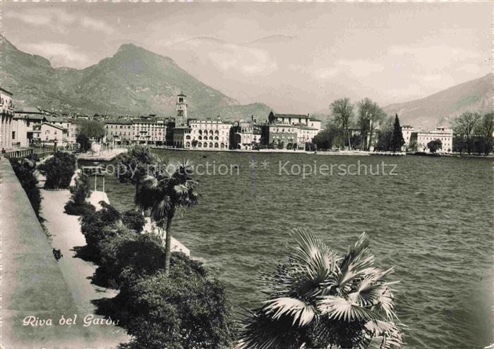 Riva del Garda Riva sul Garda IT Gardasee Uferpromenade Palmen Berge Turm Ortsc