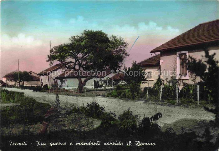 Isole Tremiti Puglia IT San-Domino Dorfstrasse Haeuser Baeume Mandelbaeume Eiche