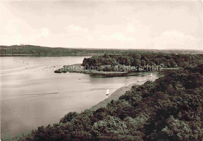 Pfaueninsel BERLIN See Segelboote Wald Baumgruppe Ufer Havel Insel