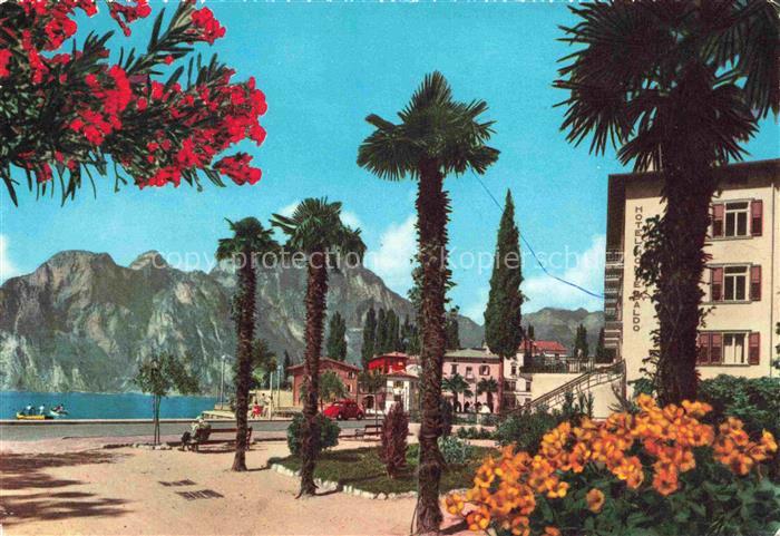 Torbole Lago di Garda Trento IT Gardasee Lago-di-Garda Palmen Oleander Hotel-Bra