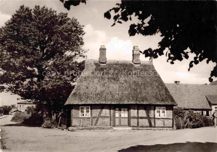 KELLENHUSEN Ostseebad Schleswig-Holstein Reetdachhaus Fachwerk Dorfstrasse Baum