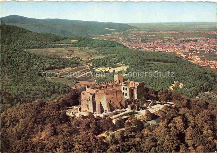 Hambacher Schloss Neustadt Haardt Weinstrasse Hambacher-Schloss Burg Wald Fliege