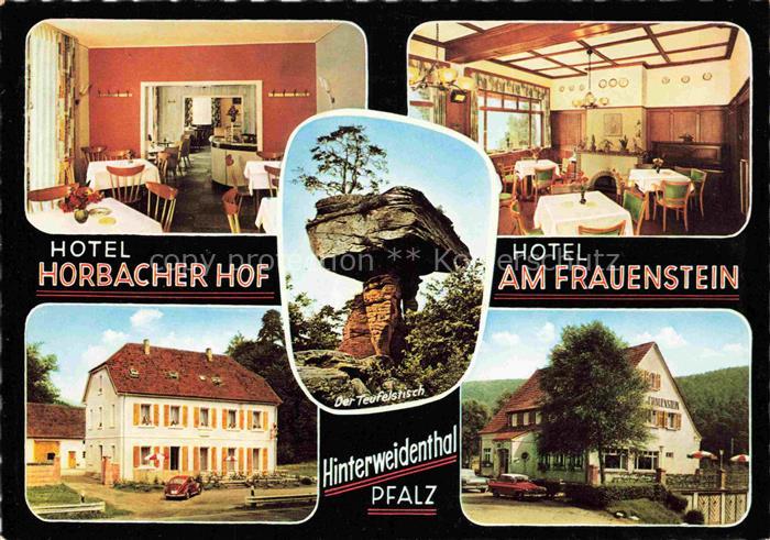 Hinterweidenthal Rheinland-Pfalz Hotel-Horbacher-Hof Hotel-am-Frauenstein Teufel