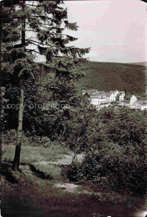 Daun Vulkaneifel Rheinland-Pfalz Wald Nadelbaeume Gebaeude Haeuser Huegel Waldla