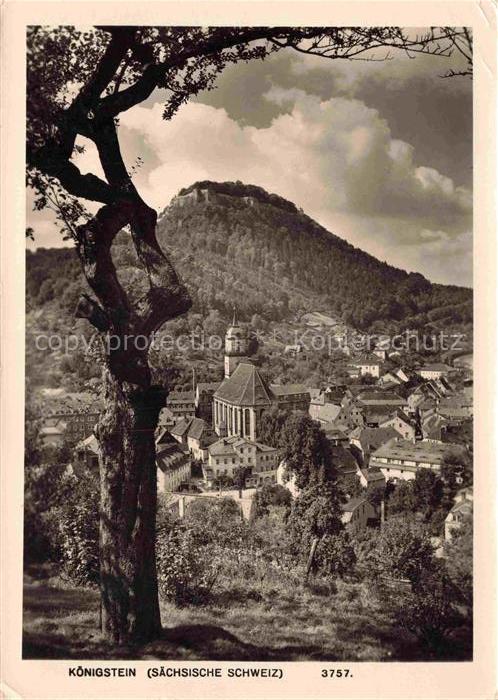 Koenigstein Saechsische Schweiz Sachsen Kirche Stadtansicht Felsen Burg Baum Sae