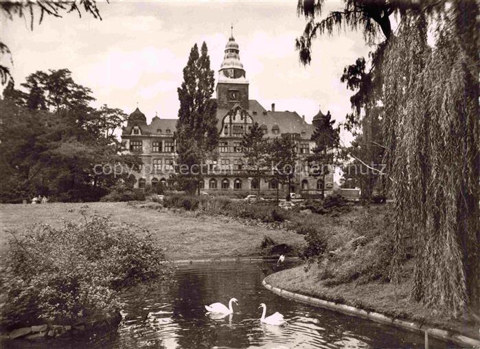 RECKLINGHAUSEN NRW Rathaus Turm Teich Schwaene Weidenbaum Ruhrfestspiele Park