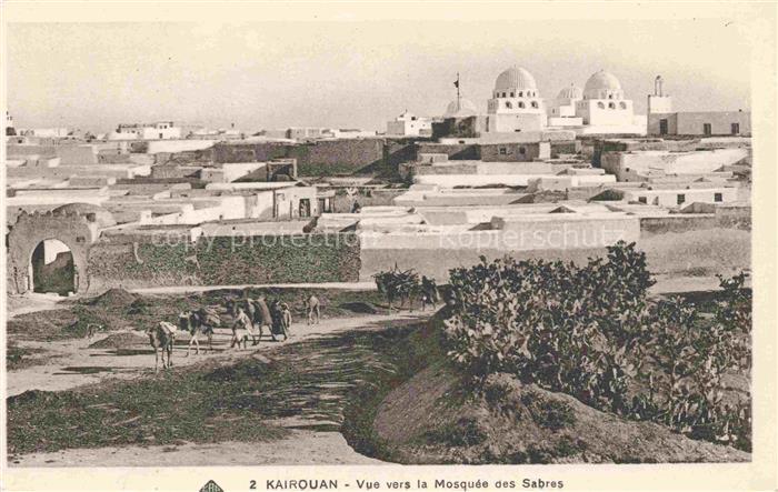 KAIROUAN Qairawan Tunesie Mosquee-des-Sabres Kuppeln Stadtansicht Esel Lehmbaute
