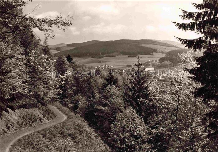 Bad Berleburg NRW Wald Tal Dorf Huegel Weg Nadelwald Laubwald Sauerland Kneipp-H