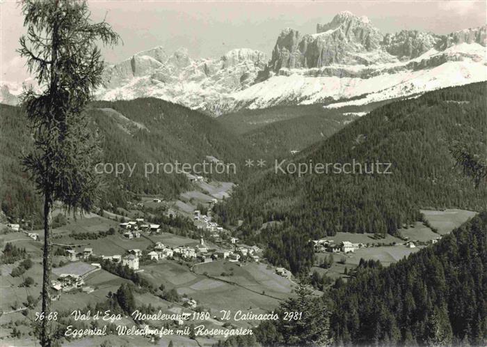 Welschnofen Nova Levante Bolzano Suedtirol IT Val-d Ega Catinaccio Eggental Rose