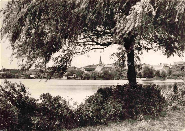 Malchow Malchower-See Kirche Ortskern See Weiden Uferpanorama DDR Kirchturm