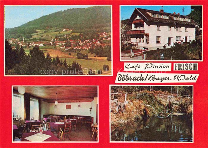 Boebrach Regen Bayern Café-Pension-Frisch Ortsansicht Pension Gaststube Teich Ba