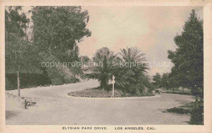 LOS ANGELES California USA Elysian-Park-Drive Park Palme Kreisverkehr Baeume All