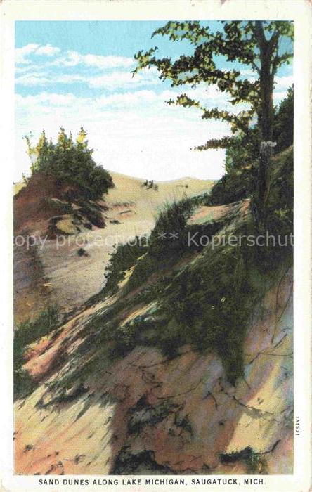 Saugatuck Michigan USA Sanduenen Lake-Michigan Baeume Duenenlandschaft Kiefer Ku