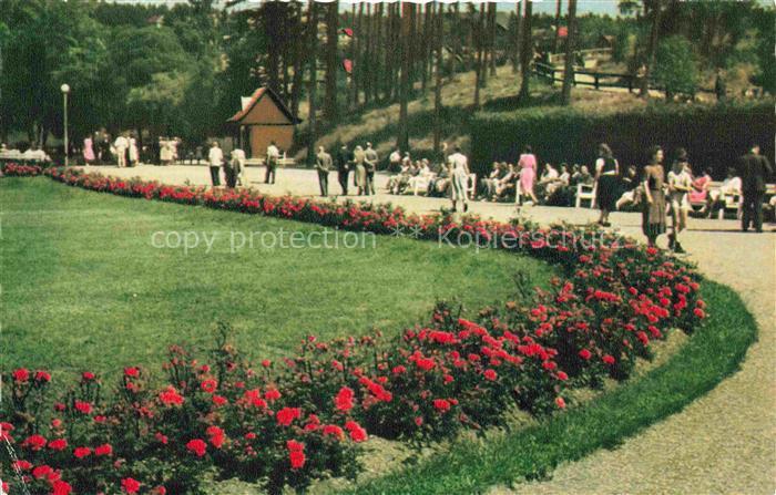 Braunlage Harz Niedersachsen Kurpark Promenade Rosenbeet Besucher Rasen Park Bae