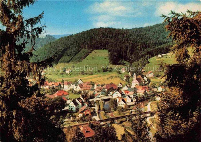 Schenkenzell Luftkurort Schwarzwald Wald Berge Dorf Kirche Kinzigtal Fachwerkhae