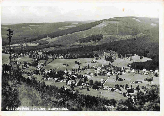 Harrachsdorf Harrachov Riesengebirge CZ Riesengebirge Sudetenland Panorama Wald