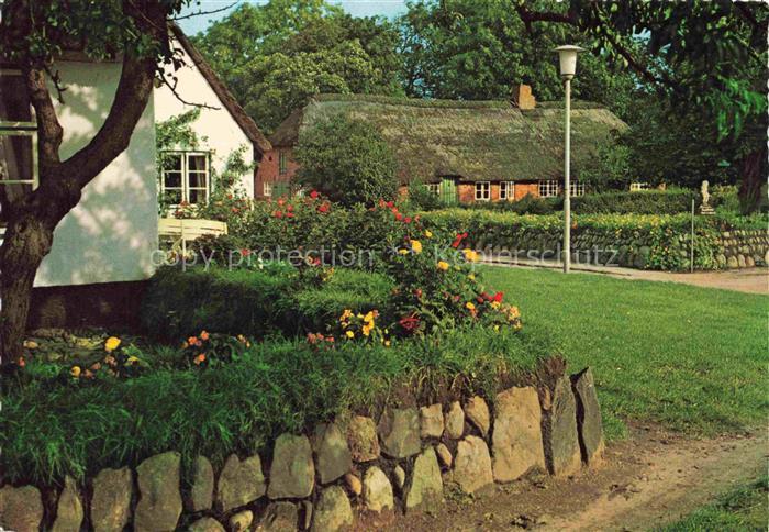 Keitum Sylt Dorfpartie Friesenhaus Reetdach Steinmauer Blumengarten Dorfstrasse