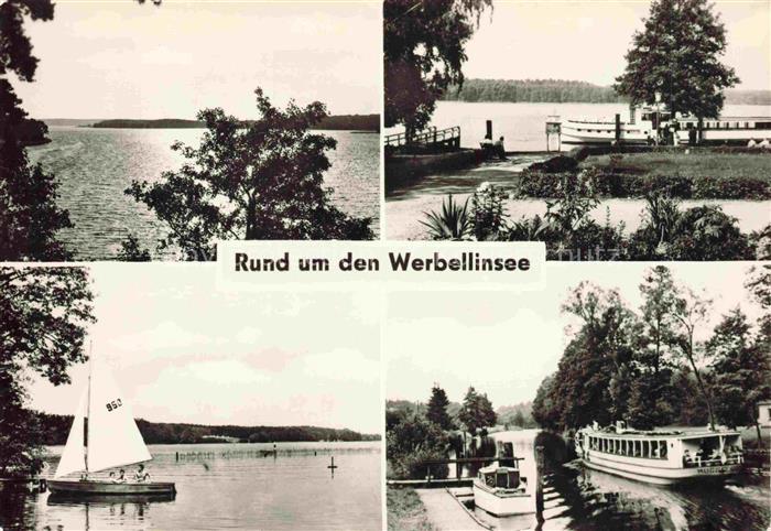 Werbellinsee-Altenhof Schorfheide Barnim Brandenburg Werbellinsee See Segelboot