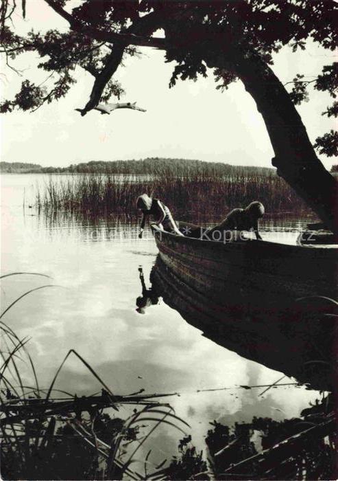 Zirtow Wesenberg Mecklenburg-Vorpommern Kuetzsee See Ruderboot Schilf Baeume Spi