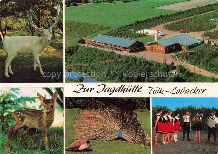 Tolk Jagdhuette Tolk-Lobacker Hirsch Reh Pfau Folkloregruppe Fliegeraufnahme Gas