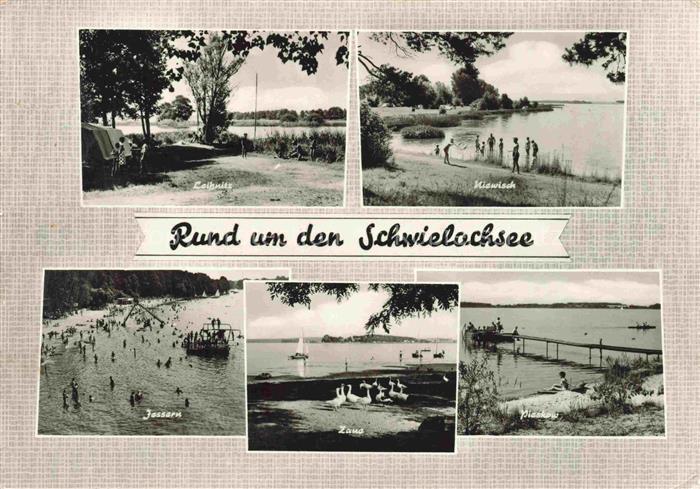 Zaue Schwielochsee See Camping Badestelle Boote Schwaene Steg Segelboot Zeltplat