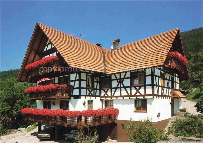 Seebach Ortenaukreis Ferienhaus Fachwerkhaus Schwarzwald Balkon Geranien Wald Su