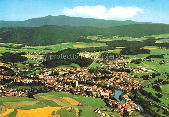 Baerndorf Regen Rachel Regen Luftbild Ortschaft Fluss Berge Wald Felder