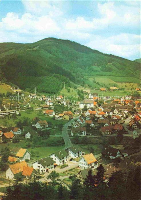 Oberwolfach Ortenaukreis BW Dorf Schwarzwald Berge Kirche Haeuser Tal Panorama