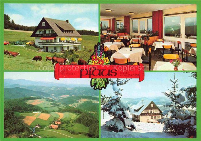 Muehlenbach Schwarzwald Wolfach Elztal Kinzigtal Baden BW Cafe-Pension Passhoehe