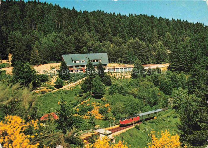 Nussbach Triberg Schwarzwald BW Haus-Hubertus Eisenbahn Schwarzwald Wald Ginster