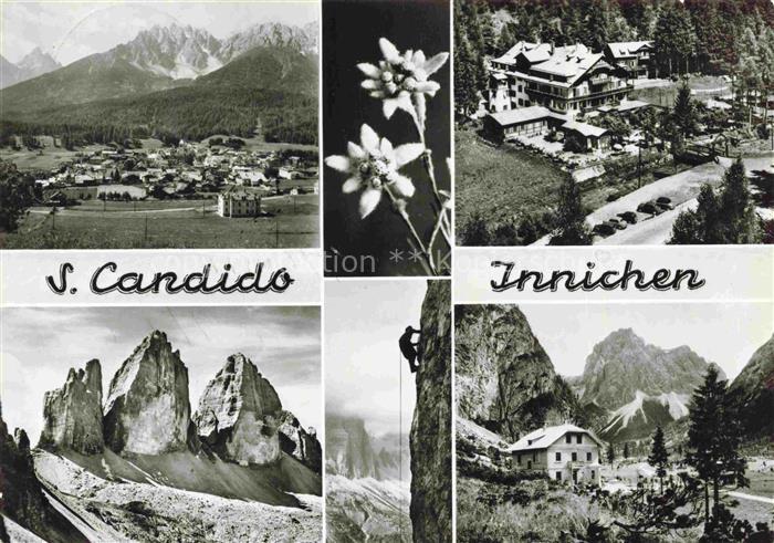 Prato alla Drava Winnebach Suedtirol IT Drei-Zinnen Tre-Cime-di-Lavaredo Edelwei