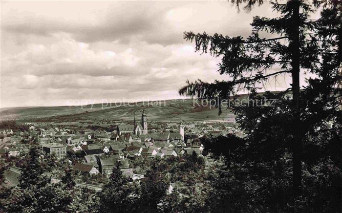 Tauberbischofsheim Stadtansicht Kirche Daecher Baeume Tannen Huegel Tal