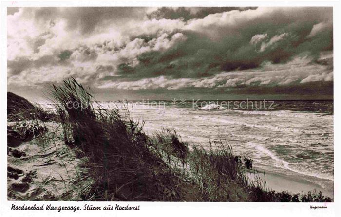 WANGEROOGE Wangeroog Nordseebad Strand Duenen Strandgras Nordseewellen Sturm Wol