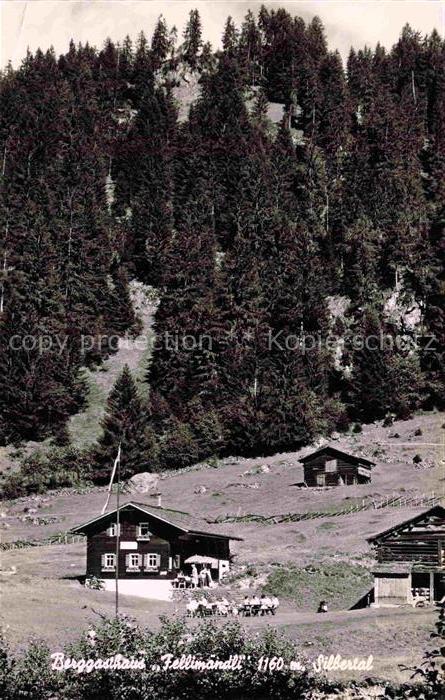 Silbertal Montafon Vorarlberg AT Berggasthaus-Fellimaendli Waldlandschaft Tannen